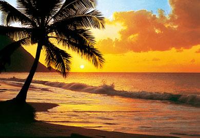 photo-murale-d-coucher-soleil-sur-plage-8-panneaux-a-coller--6840448.jpg